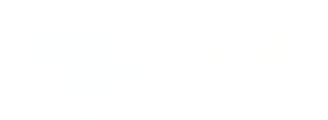 E-thesis / Helsingin yliopisto