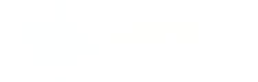 E-thesis / Helsingin yliopisto